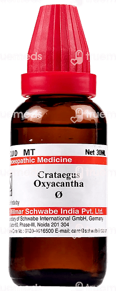 Dr Willmar Schwabe Crataegus Oxyacantha Q Mother Tincture 30ml Dr Willmar Schwabe Crataegus Oxyacantha Q Mother Tincture 30ml