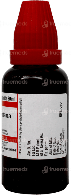 Dr Willmar Schwabe Arnica Montana Q Mother Tincture 30Ml