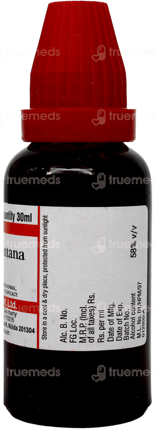 Dr Willmar Schwabe Arnica Montana Q Mother Tincture 30Ml
