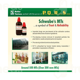 Dr Willmar Schwabe Arnica Montana Q Mother Tincture 30Ml