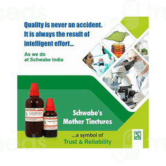 Dr Willmar Schwabe Arnica Montana Q Mother Tincture 30ml