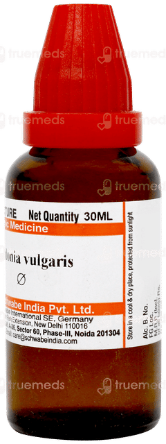 Dr Willmar Schwabe Cydonia Vulgaris Q Mother Tincture 30ml