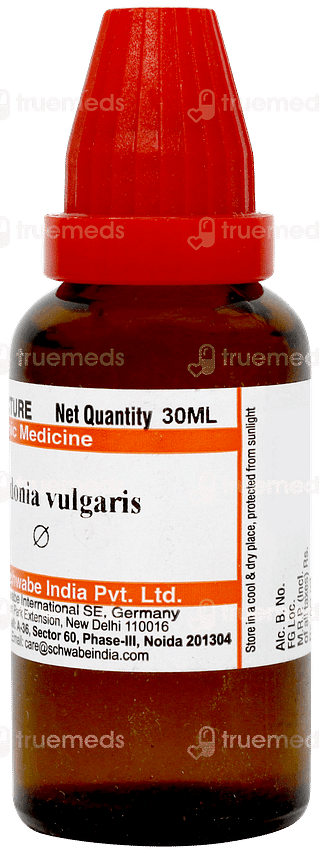 Dr Willmar Schwabe Cydonia Vulgaris Q Mother Tincture 30ml