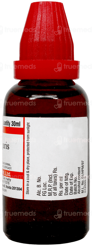Dr Willmar Schwabe Cydonia Vulgaris Q Mother Tincture 30Ml