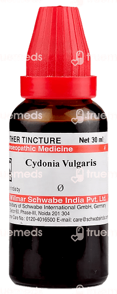 Dr Willmar Schwabe Cydonia Vulgaris Q Mother Tincture 30ml Dr Willmar Schwabe Cydonia Vulgaris Q Mother Tincture 30ml
