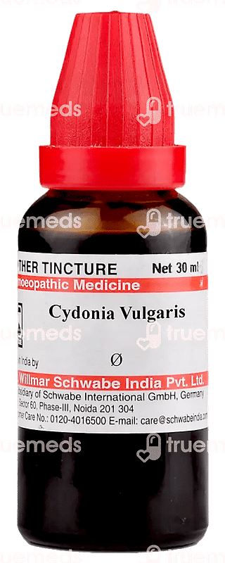 Dr Willmar Schwabe India Cydonia Vulgaris Mother Tincture 30 ML