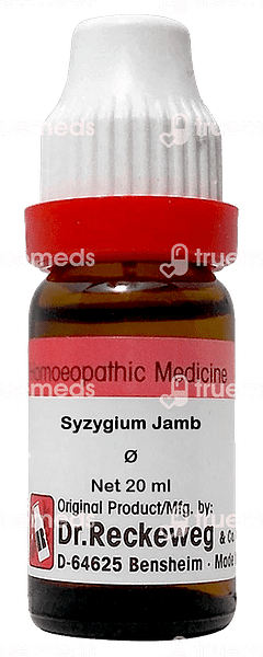 Dr Reckeweg Syzygium Jamb Q Mother Tincture 20ml Dr Reckeweg Syzygium Jamb Q Mother Tincture 20ml