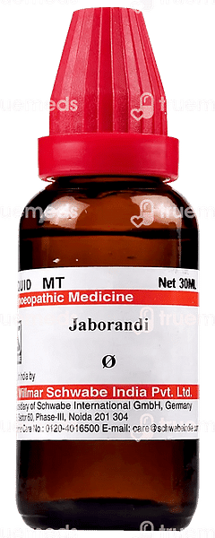 Dr Willmar Schwabe Jaborandi Q Mother Tincture 30ml Dr Willmar Schwabe Jaborandi Q Mother Tincture 30ml