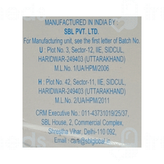 Sbl Ginkgo Biloba Q Mother Tincture 30ml