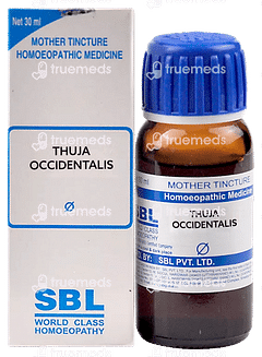 Sbl Thuja Occidentalis Q Mother Tincture 30ml Sbl Thuja Occidentalis Q Mother Tincture 30ml