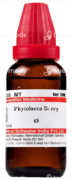 Dr Willmar Schwabe Phytolacca Berry Q Mother Tincture 30ml Dr Willmar Schwabe Phytolacca Berry Q Mother Tincture 30ml