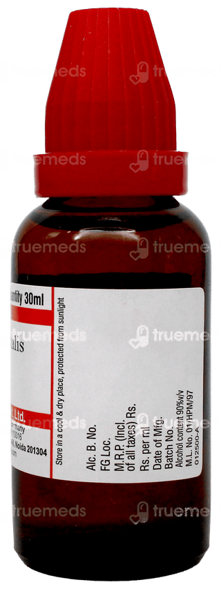 Dr Willmar Schwabe Thuja Occidentalis 200Ch Dilution 30Ml