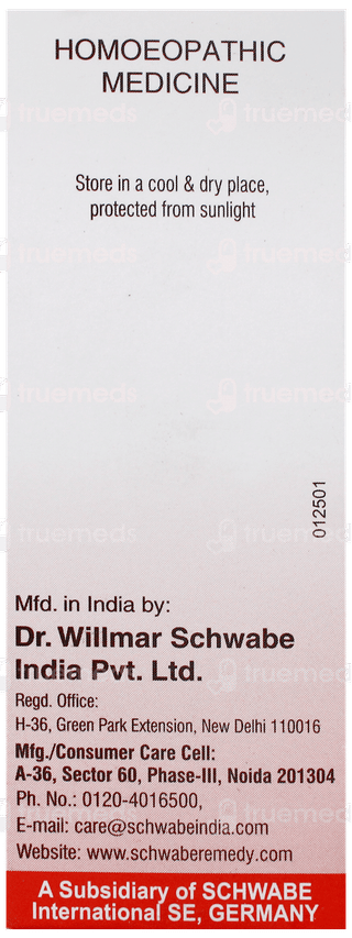 Dr Willmar Schwabe Rhus Toxicodendron 30Ch Dilution 30Ml