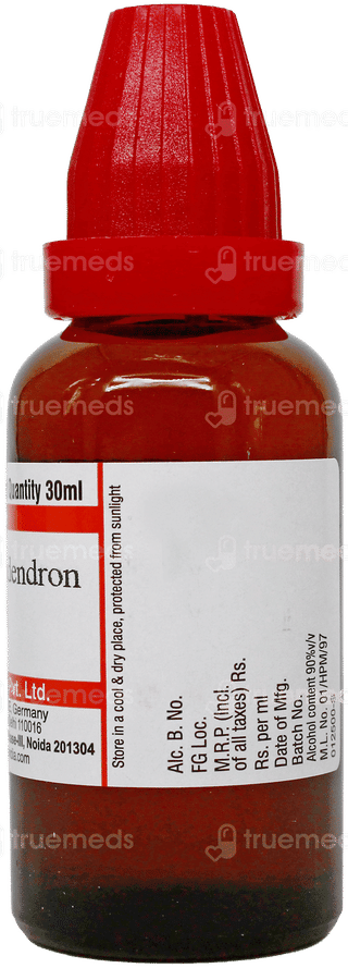 Dr Willmar Schwabe Rhus Toxicodendron 30Ch Dilution 30Ml