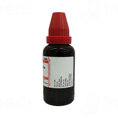 Dr Willmar Schwabe Rhus Toxicodendron 30ch Dilution 30ml Dr Willmar Schwabe Rhus Toxicodendron 30ch Dilution 30ml
