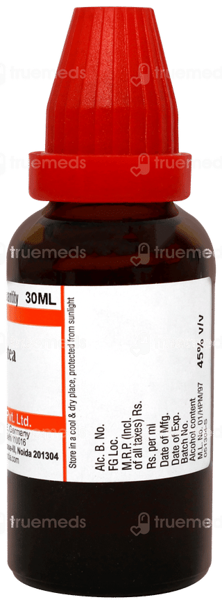 Dr Willmar Schwabe Nuphar Lutea Q Mother Tincture 30ml