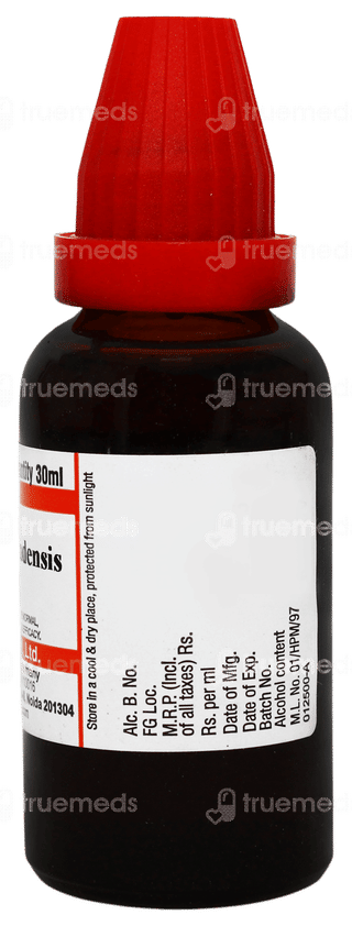 Dr Willmar Schwabe Hydrastis Canadensis Q Mother Tincture 30ml