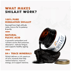 Dr Morepen Shilajit 15gm