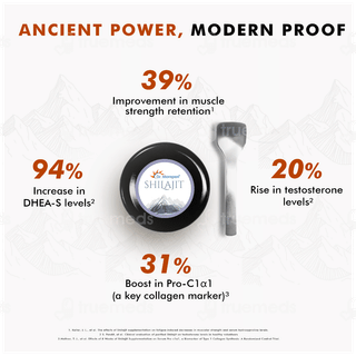 Dr Morepen Shilajit 15gm