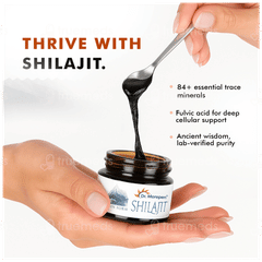Dr Morepen Shilajit 15gm