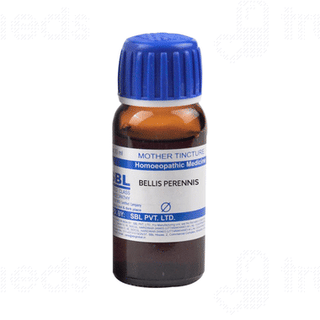 Sbl Bellis Perennis Mother Tincture 30 ML