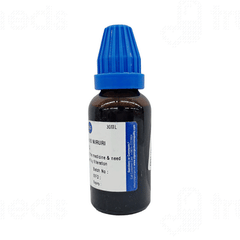 St Georges Phylanthus Niruri Q Mother Tincture 30 ML