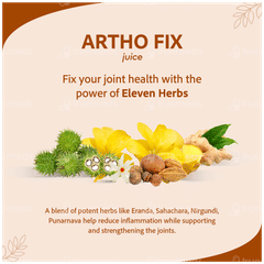 Sri Sri Tattva Artho Fix No Added Sugar Juice 1 L