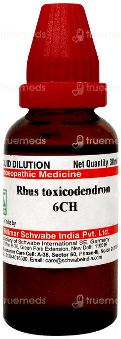 Dr Willmar Schwabe Rhus Toxicodendron 6ch Dilution 30ml Dr Willmar Schwabe Rhus Toxicodendron 6ch Dilution 30ml