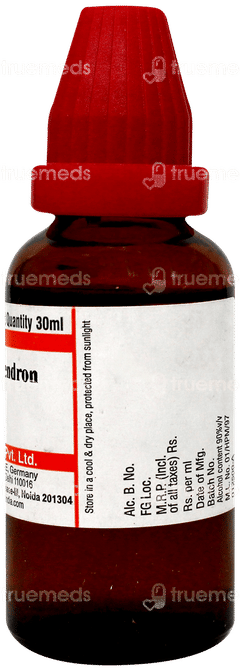 Dr Willmar Schwabe Rhus Toxicodendron 6ch Dilution 30ml Dr Willmar Schwabe Rhus Toxicodendron 6ch Dilution 30ml