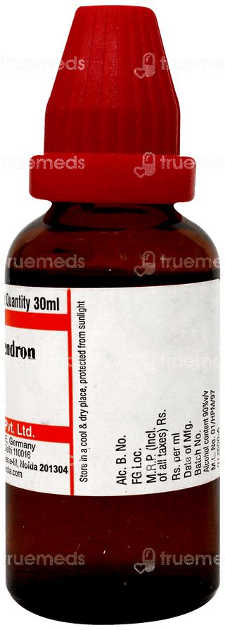 Dr Willmar Schwabe Rhus Toxicodendron 6ch Dilution 30ml