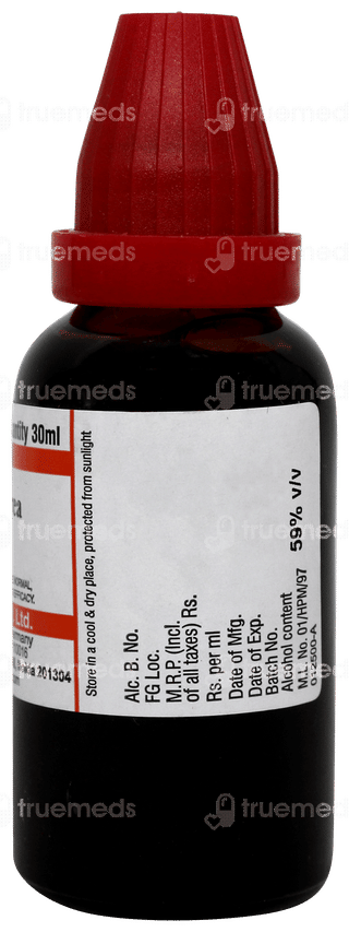 Dr Willmar Schwabe Solidago Virgaurea Q Mother Tincture 30ml