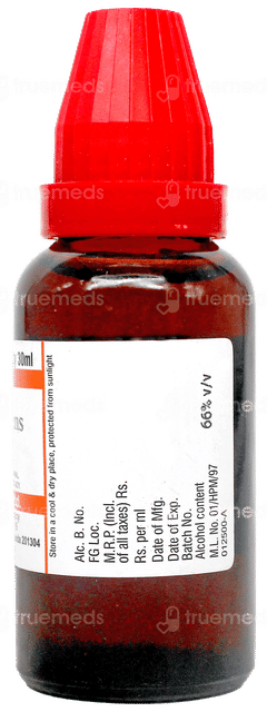 Dr Willmar Schwabe Ruta Graveolens Q Mother Tincture 30Ml Dr Willmar Schwabe Ruta Graveolens Q Mother Tincture 30Ml