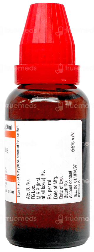 Dr Willmar Schwabe Ruta Graveolens Q Mother Tincture 30Ml