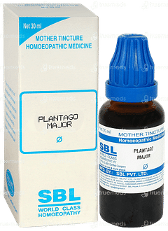 Sbl Plantago Major Q Mother Tincture 30ml
