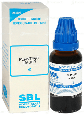 Sbl Plantago Major Q Mother Tincture 30ml