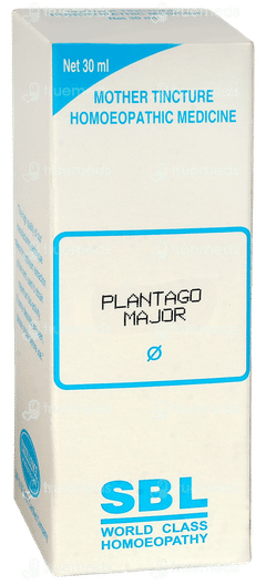 Sbl Plantago Major Q Mother Tincture 30ml