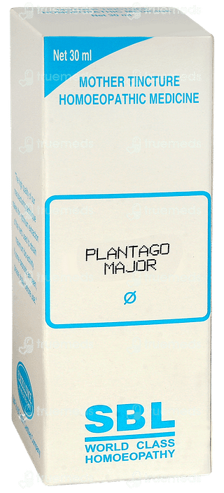 Sbl Plantago Major Q Mother Tincture 30ml