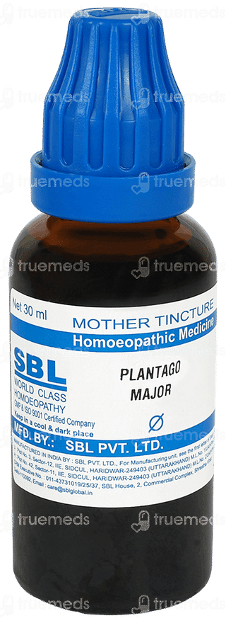 Sbl Plantago Major Q Mother Tincture 30ml