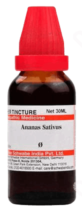 Dr Willmar Ananas Sativus Q Mother Tincture 30 Ml Dr Willmar Ananas Sativus Q Mother Tincture 30 Ml