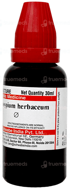 Dr Willmar Gossypium Herbaceum Q Mother Tincture 30 ML