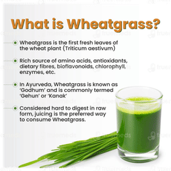 Zandu Wheatgrass Health Juice 1 L