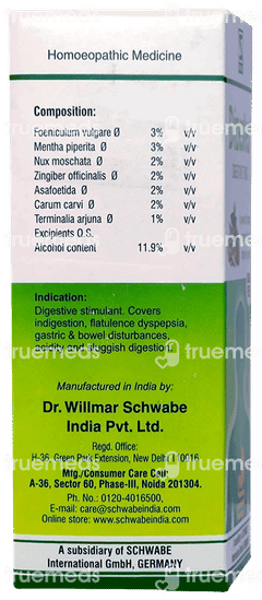 Dr Willmar Schwabe Dizester Sugar Free Tonic 100ml