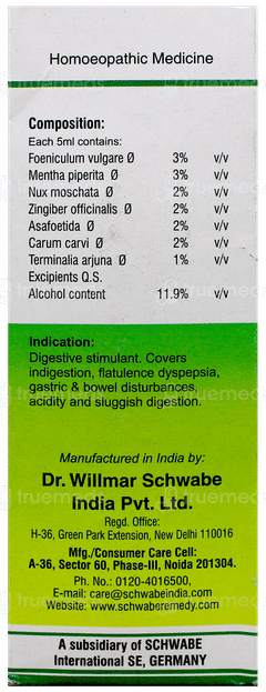 Dr Willmar Schwabe Dizester Sugar Free Tonic 100Ml