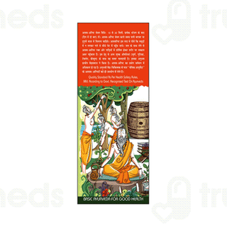 Basic Ayurveda Vidangasav Liquid 450 ML