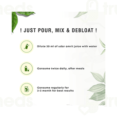Four Seasons Udar Amrit Juice 1000 ML