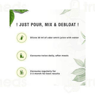 Four Seasons Udar Amrit Juice 1000 ML