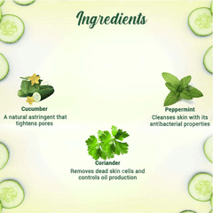 Biotique Cucumber Pore Tightening Refreshing Toner 120Ml Biotique Cucumber Pore Tightening Refreshing Toner 120Ml