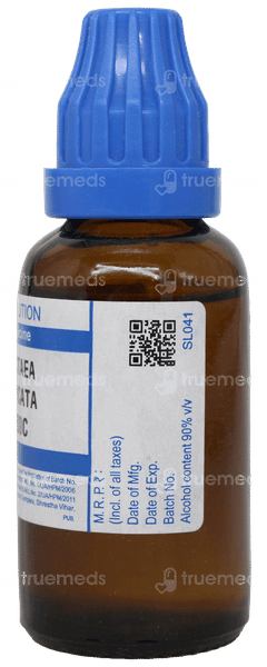 Sbl Actaea Spicata 200c Dilution 30ml