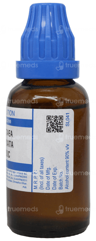 Sbl Actaea Spicata 200c Dilution 30ml