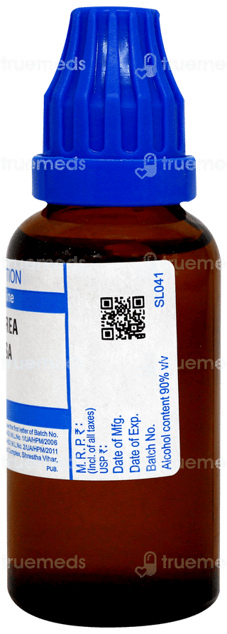 Sbl Dioscorea Villosa 30c Dilution 30ml